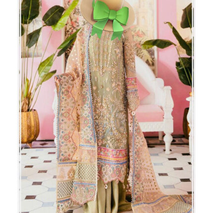 Stitched Embroidered Party Wear – Elaf Luxury Style